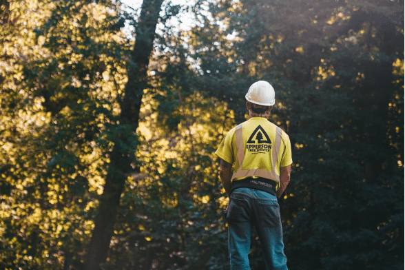 A tree service worker is wearing a helmet.